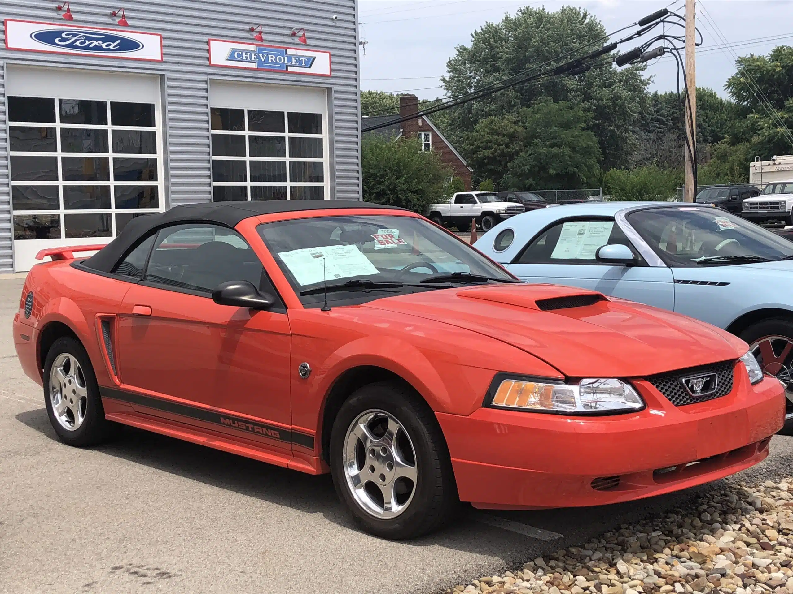 The Amazing Ford Mustang