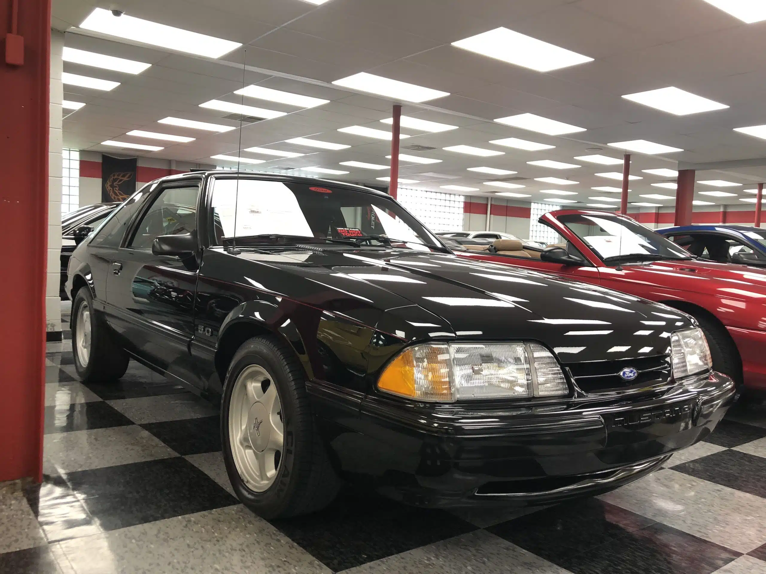 The Amazing Ford Mustang