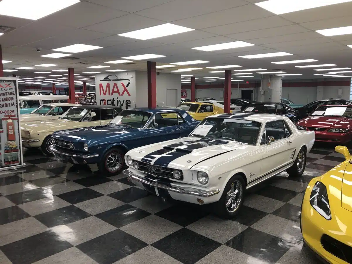 The Amazing Ford Mustang