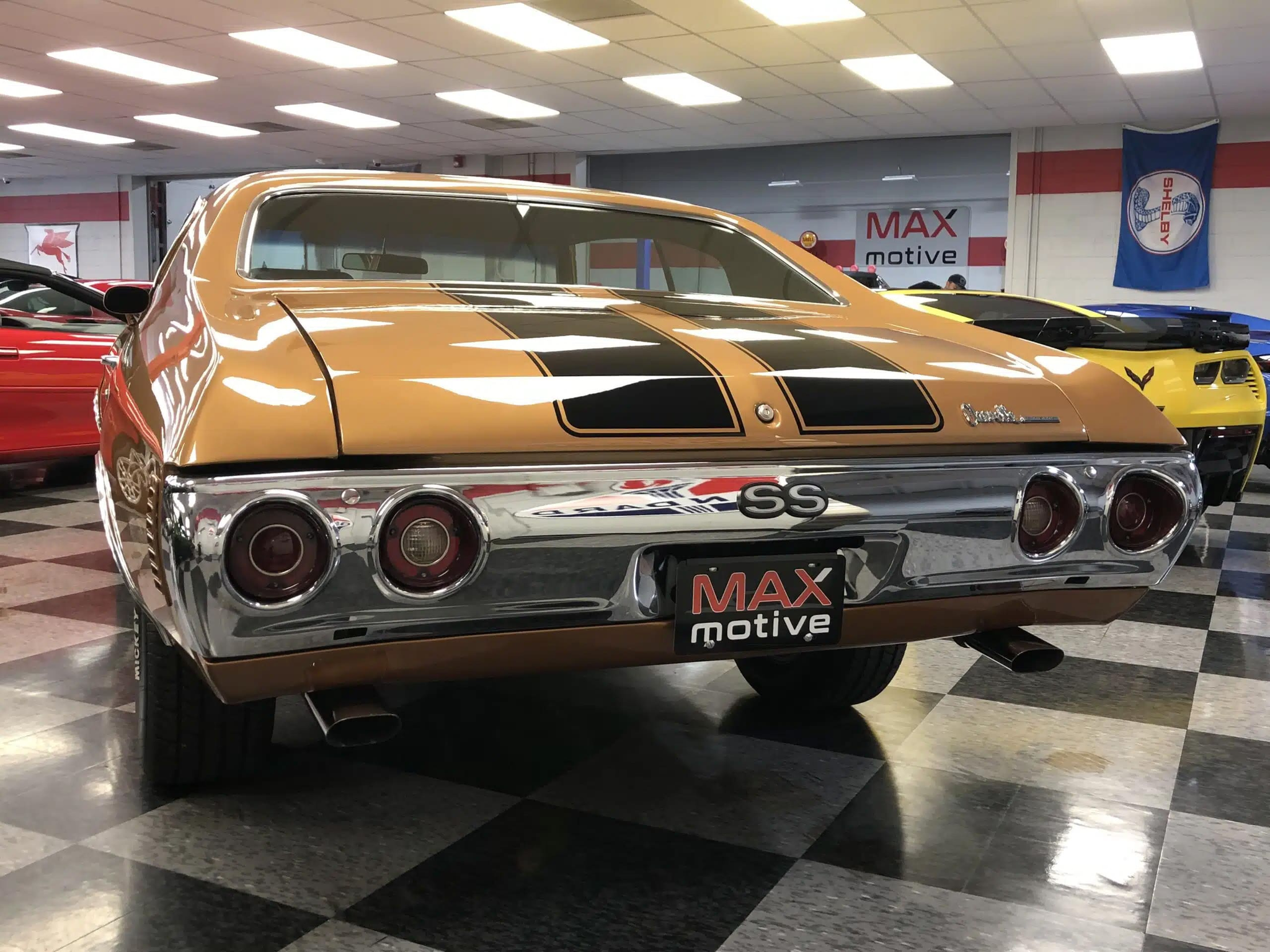 The back is just as familiar.  It shows the SS badge and the famous stripes as well.